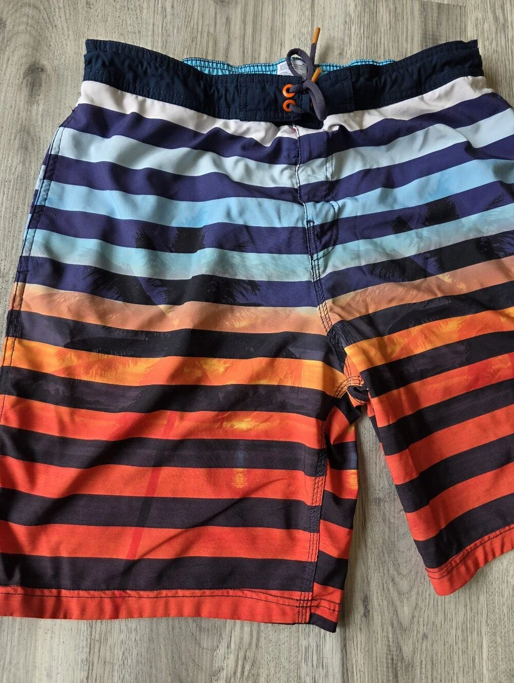 Speedo Men’s Large Multicolor Striped Swim Trunks